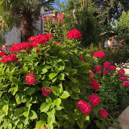 Casa Hortensia 奈维斯 外观 照片
