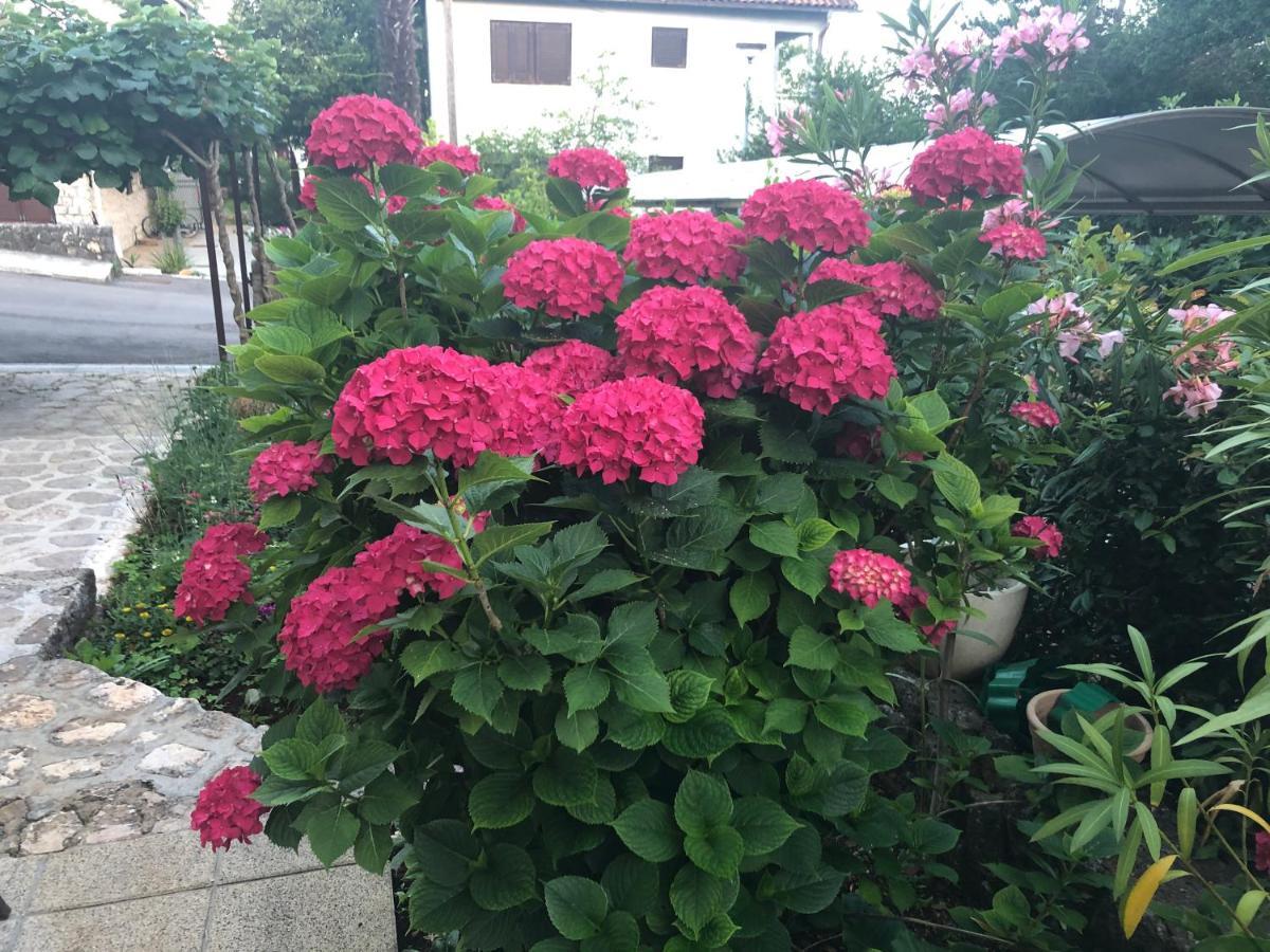 Casa Hortensia 奈维斯 外观 照片